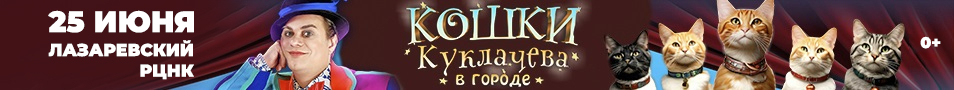 25.06.Кошки Куклачева в городе