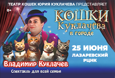 25.06.Кошки Куклачева в городе