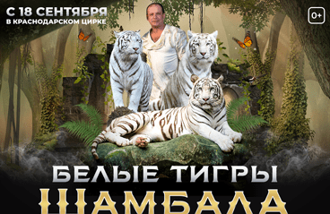 Шоу белых тигров Шамбала