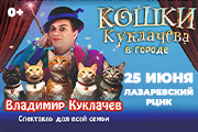 25.06.Кошки Куклачева в городе